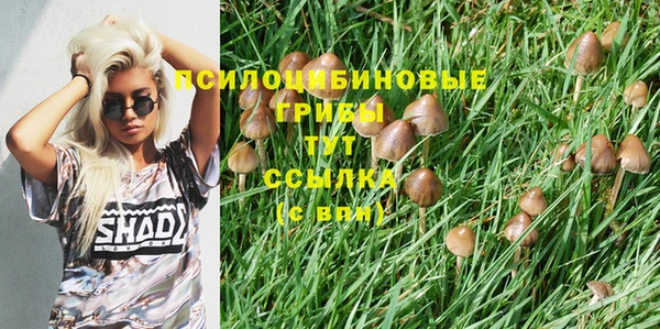 шишки Алексеевка