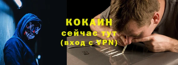 дживик Алзамай